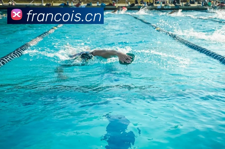 人人体育在线直播平台生态图